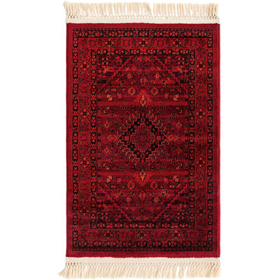 Oriental Indoor Rug