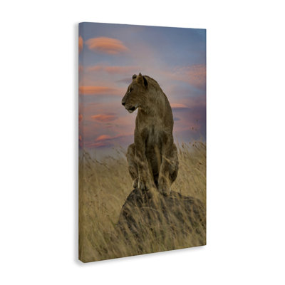 «Strong Lioness at Sunset», art mural par Danita Delimont
