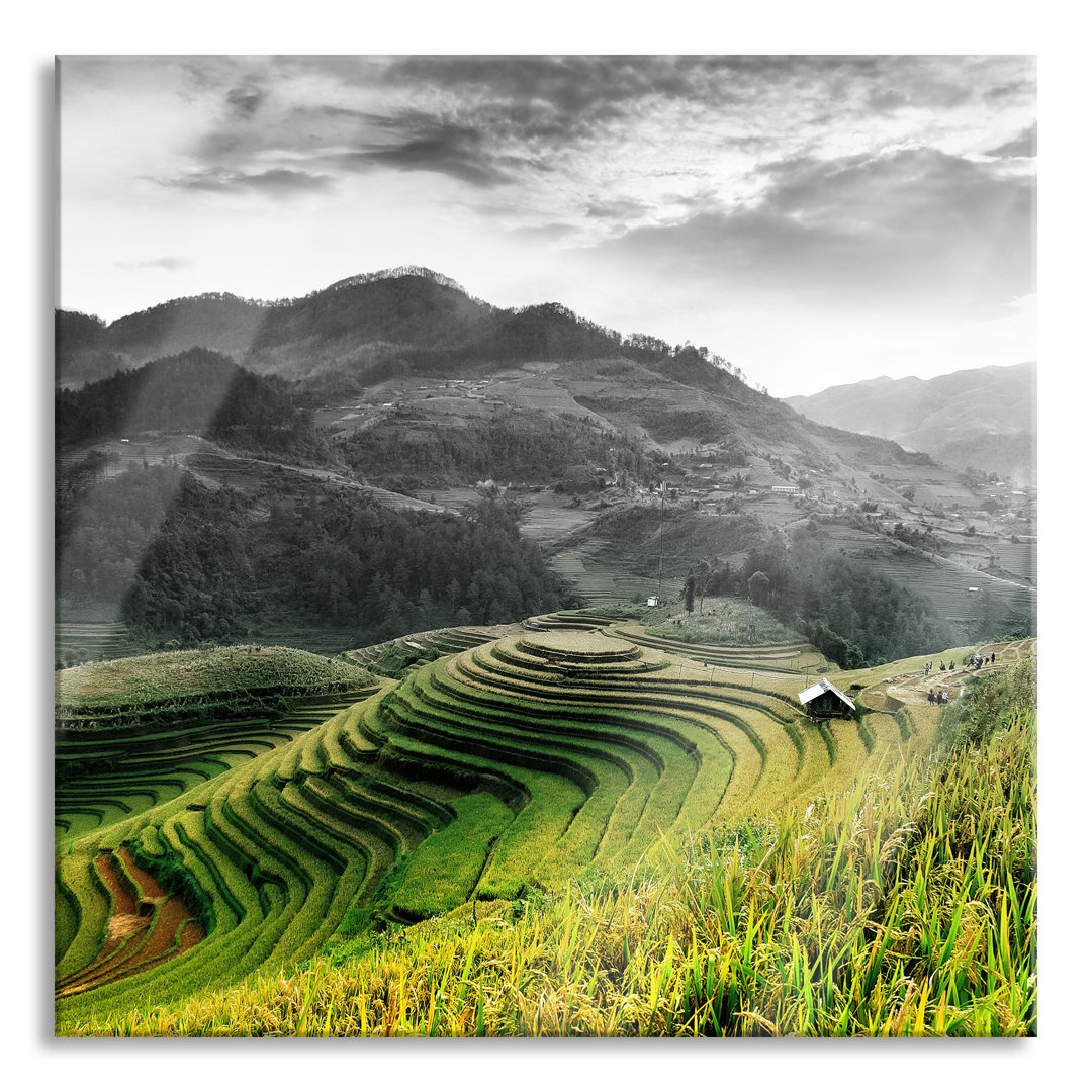 Glasbild Rice Fields in Vietnam