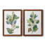 «Seeded Eucalyptus I», ensemble de 2 reproductions d'art sur toile-1047157793-1047157804