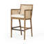 Antonia Counter & Bar Stool-367595402-321446880-367595397