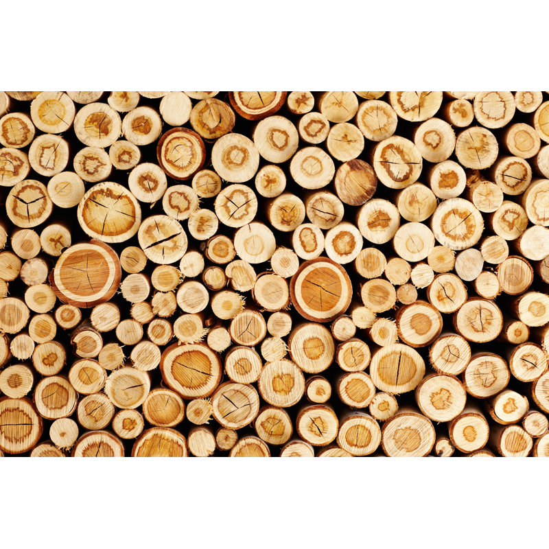 Renewable Resource - Wrapped Canvas Print, 51cm H x 76cm W x 3.8cm D