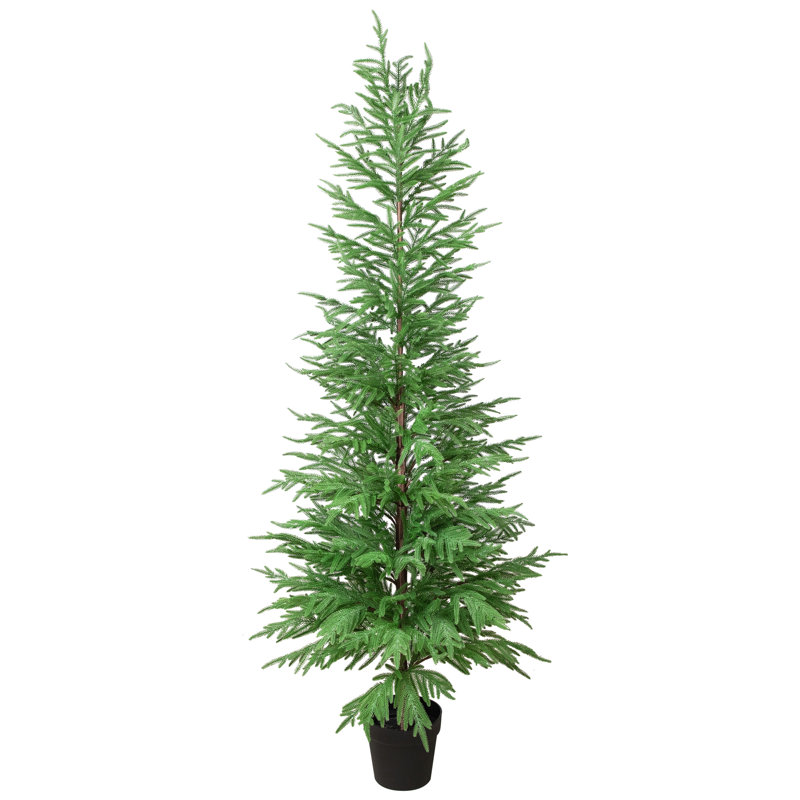 Arbre de Noël artificiel en forme de pin moyen Norfolk, 6 pi, non éclairé