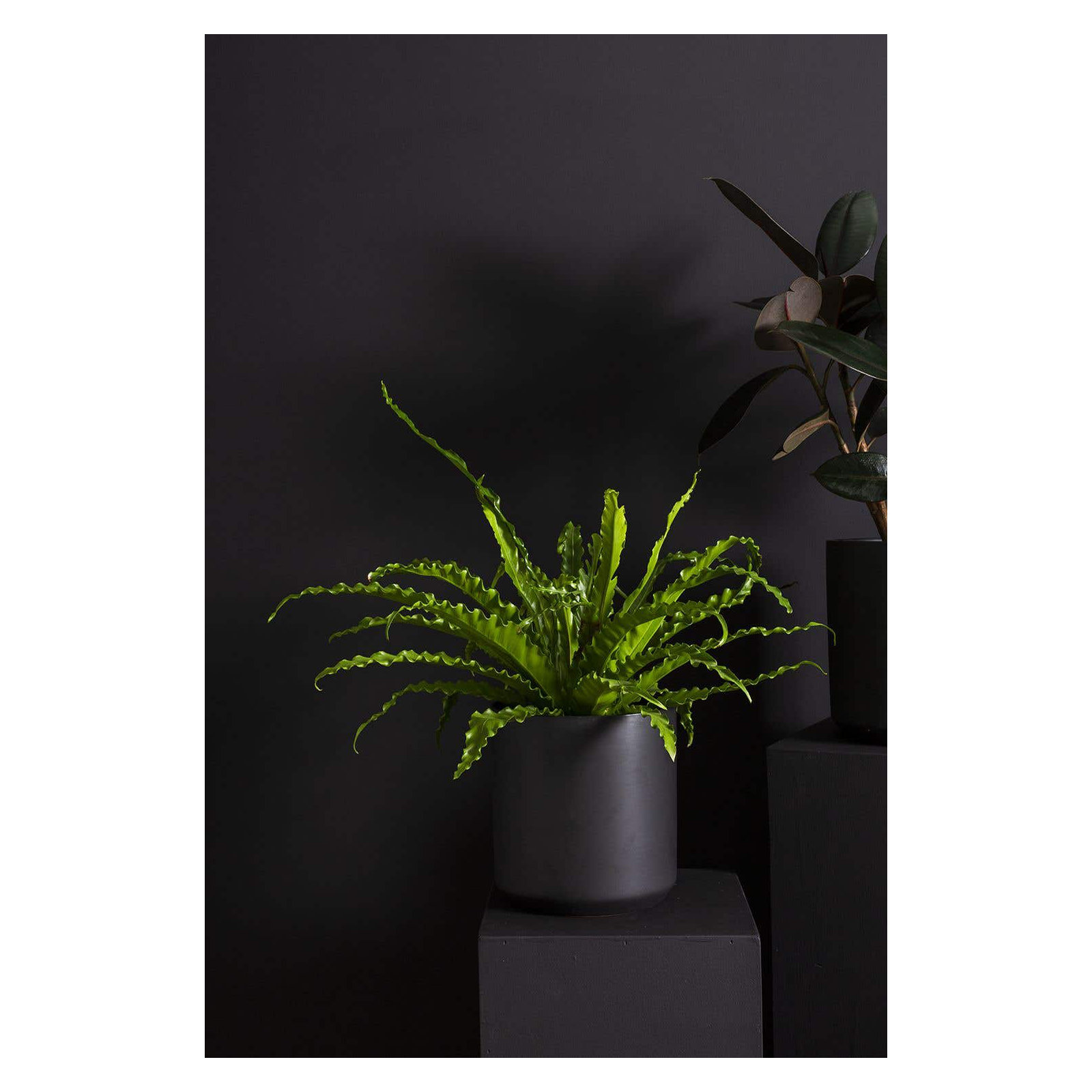 Parsons Handmade Ceramic Pot Planter, Black, 10" H x 10.75" W x 10.75" D