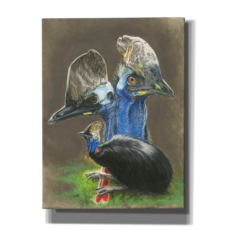 «Ginnifer Cassawary on Canvas» par Barbara Keith, reproduction, H 16 po x l 12 po x P 0,75 po
