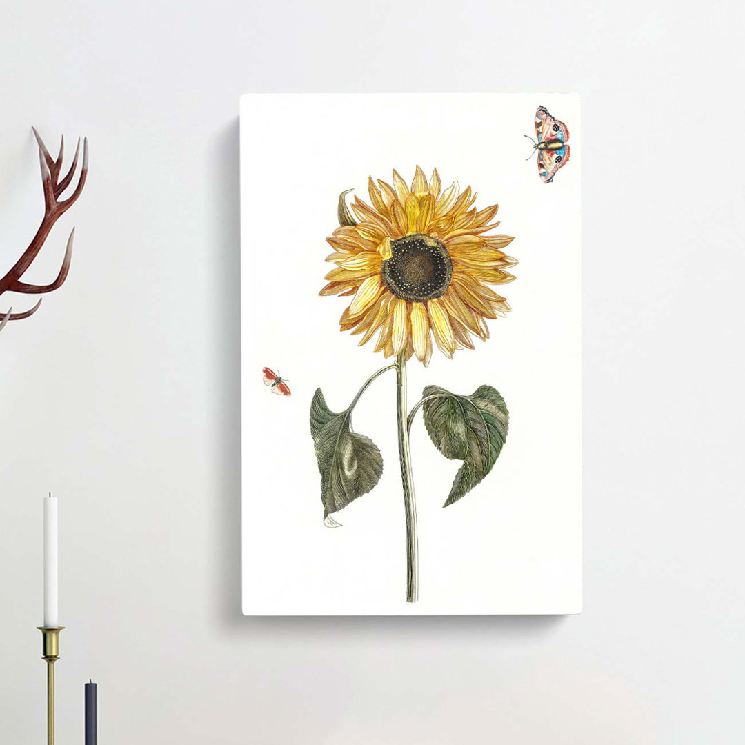 Sunflower With Butterflies by Johan Teyler - Wrapped Canvas
