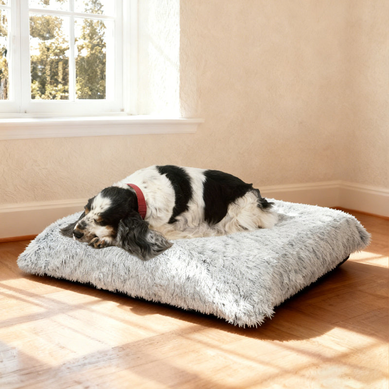 Lit pour chien Serta Cozy, Gris
