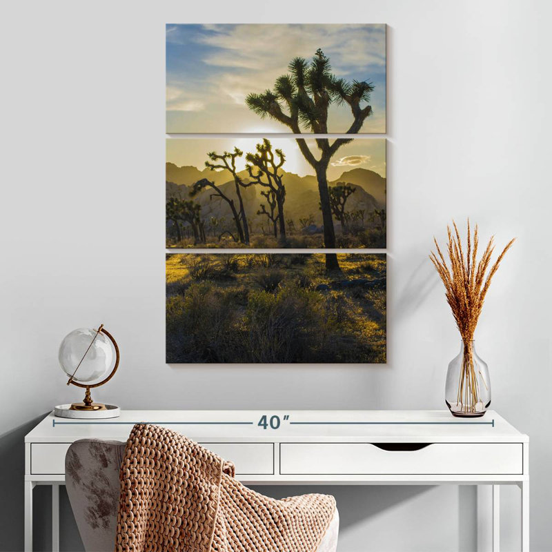 Harnek Joshua Tree Park Desert Field, 32" H x 20" W