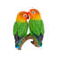 Statue perroquets on branch