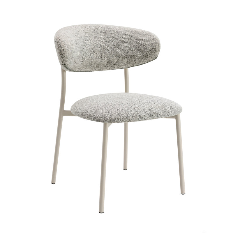 Fabric Finish Side Chair (Set Of 2)