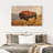 Wild Bison On The Field-440172410