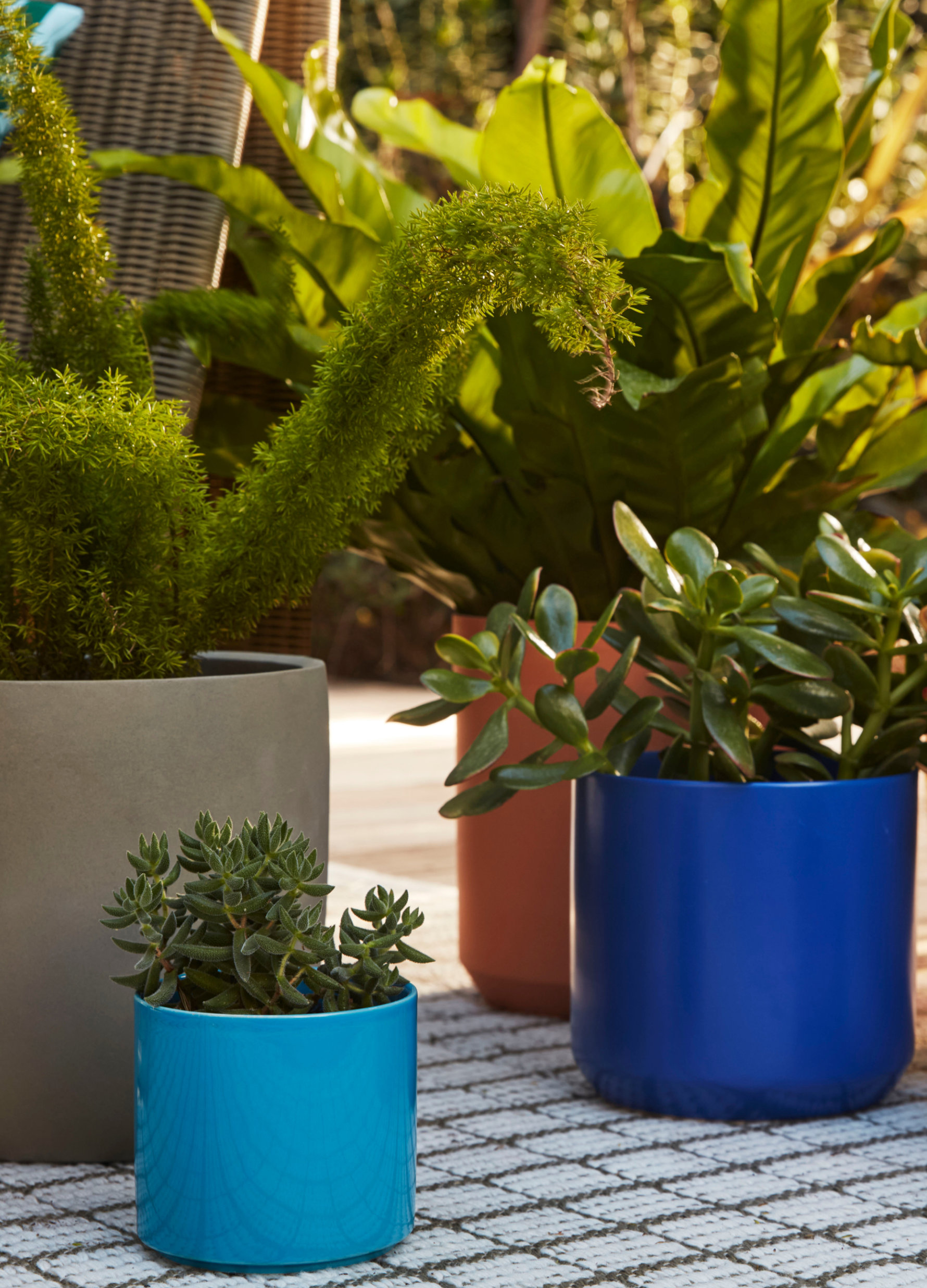Shop Planters