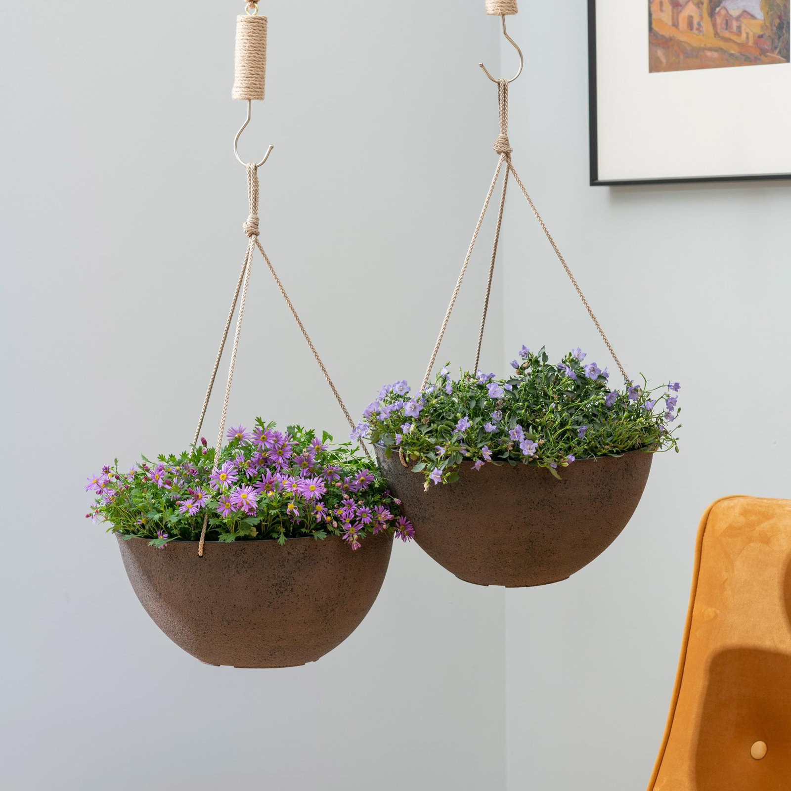 Boxdale 13" Hanging Planter, New Iron, 6.3" H x 13.2" W x 13.2" D