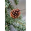 BRAMPTON Faux Lighted 66cm Wreath