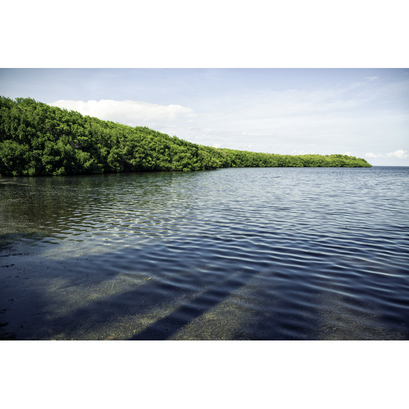 Biscayne Bay by Yoela - No Frame Print on Canvas, 51cm H x 76cm W