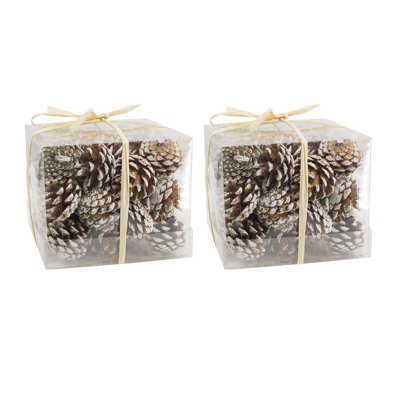 S/2 6X6x5" Assorted Pincones