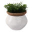 Pot de fleurs d'intérieur en terre cuite à motif texturé d'intérieur et de jardin - 7 po blanc et brun clair