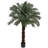 Cycas Artificial Tree