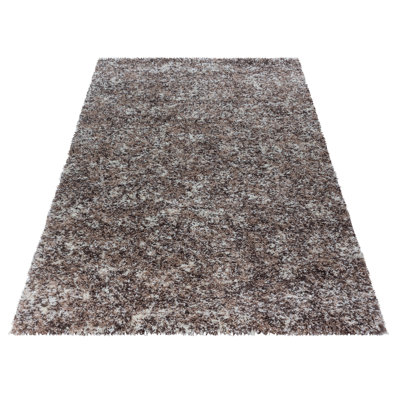 Hearn Solid Colour Shag Area Rug