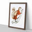 White-Bellied Flying Squirrel Illustration by John Edward Gray - Framed Print-55612683-55612684
