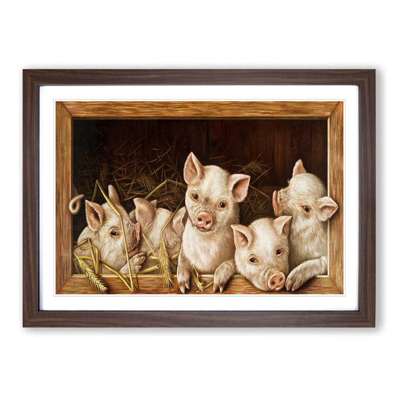 Prize Pigs - Picture Frame Painting Print, Walnut Framed, 36cm H x 48cm W x 2cm D