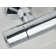 Zing Thermostatic Shower with Slider Rail