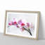 Orchid Flowers Vol.5 - Framed Print-62761599-62761601