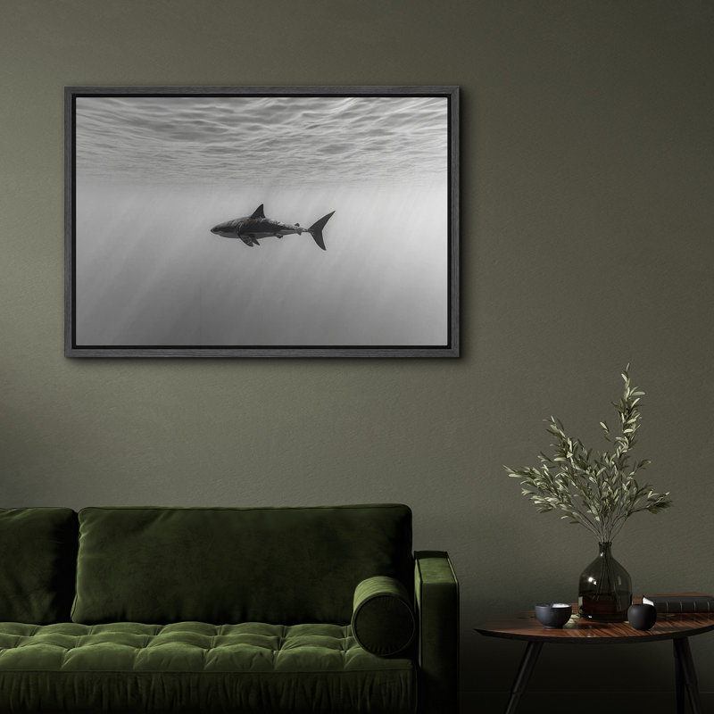 Black and White Shark Ocean Depth Modern Coastal Decor – Pictures Framed Canvas Print Wall Art, 16" H x 24" W