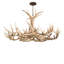 Rustic Lodge 18 - Light Chandelier