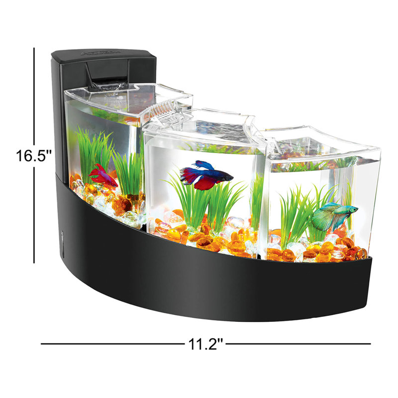 Aquarium Halterman
