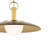 Kurio 16" 1-Light Pendant With Etched Opal Glass in Lacquered Bronze-126501920-126501918