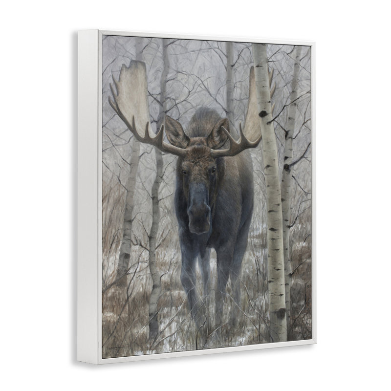 «Moose in Winter Birch Forest», dessin de James Corwin, H 14 po x l 11 po, Estampe numérique encadrée blanc bord de mer