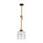 Luminaire suspendu simple à 1 lumière Rockwood
