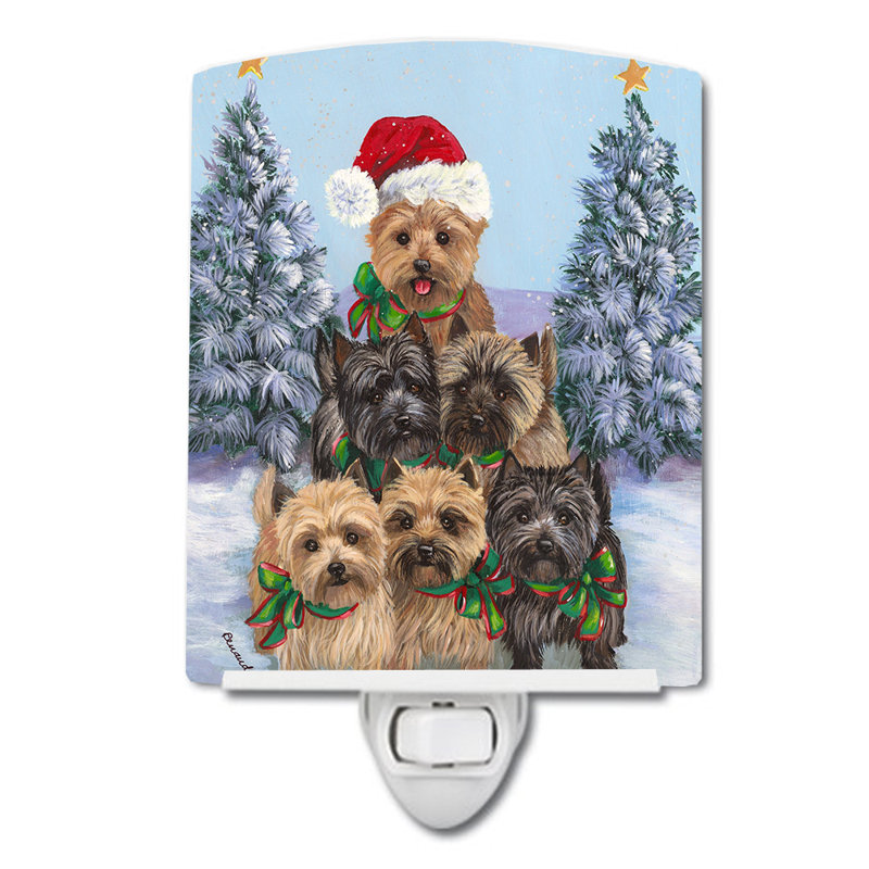 Veilleuse Boxer, Cairn Terrier arbre de famille