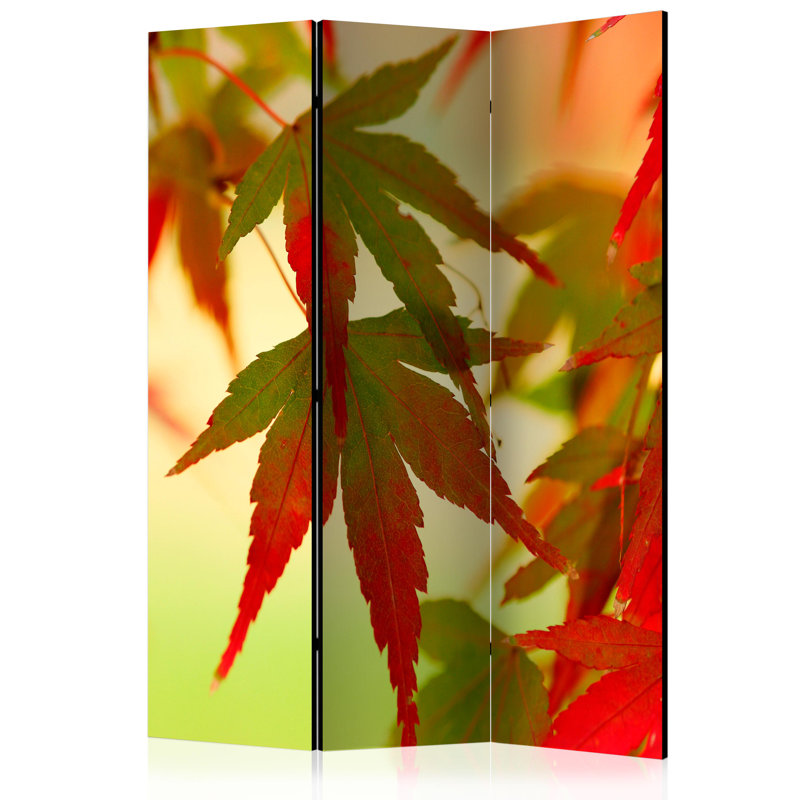 Nartuni 172cm H 3 - Panel Solid Wood Folding Room Divider, 3