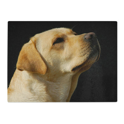 Yellow Labrador Dog No.2  Glass Chopping Board