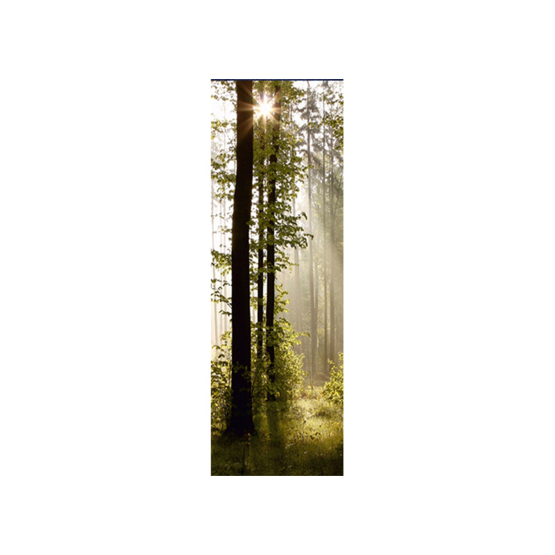Panneau mural L 9 pi x l 35 po Cherrise Forest Sunshine
