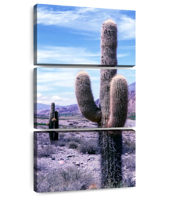 Exotic Cactus, 27" H x 12" W