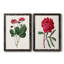 Toile encadrée rosée Blooms II-59823596-59823595-59986633