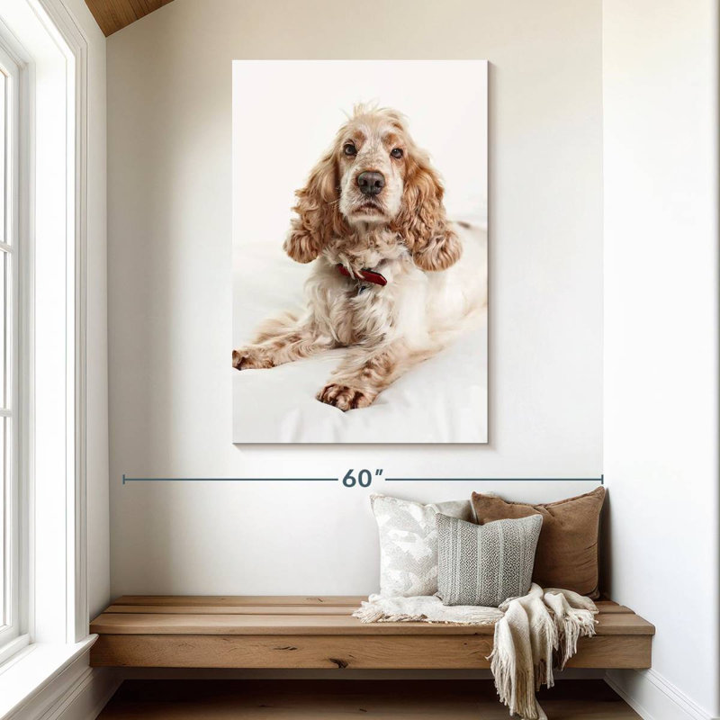 Resting Cocker Spaniel, 48" H x 32" W