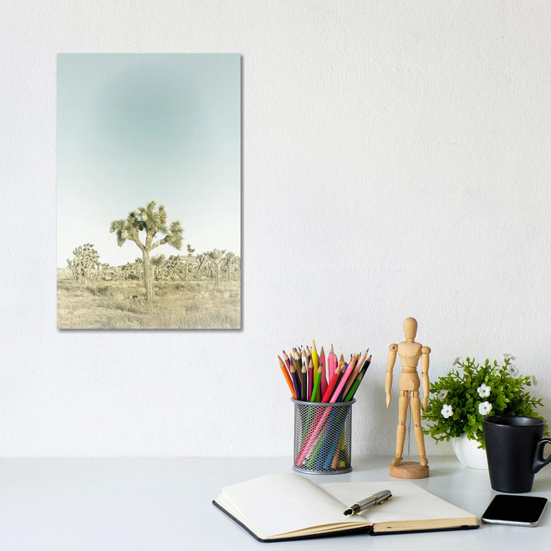 Joshua Tree National Park Vintage by Melanie Viola - Wrapped Canvas Print, 20.32 cm H x 30.48 cm W
