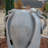 Aliodija Outdoor Fountain