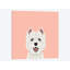 Highland Terrier, impression sur toile tendue-19741839-74755568-74755569