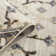 Annaliya Oriental Indoor Rug