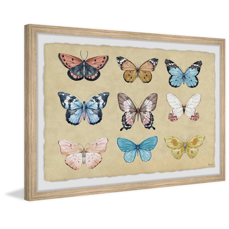 Striking Colours - Single Picture Frame Print, 20cm H x 30cm W x 3.81cm D
