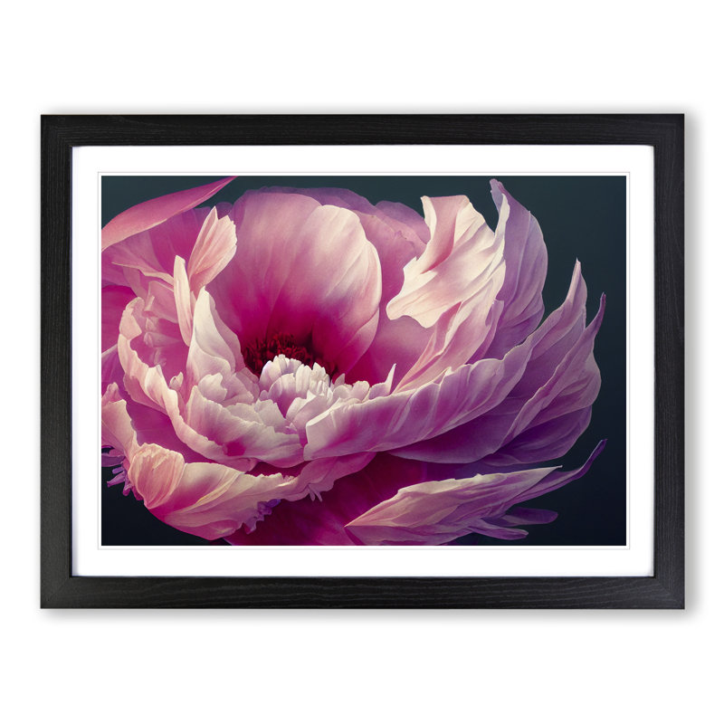 Bedazzled Peony Flower - Single Picture Frame Print, Black Frame, 25cm H x 34cm W x 2cm D