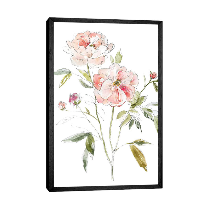 Sketchbook Cottage Rose I by Carol Robinson - Painting on Canvas, 101.6 cm H x 66.04 cm W, Black Framed