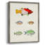 «Colorful Tropical Fish I», reproduction encadrée - bois massif-1926448338