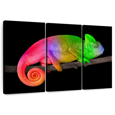 Brampt Color Gradient Chameleon