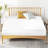 Felsenthal 12'' Medium Gel Memory Foam Mattress-1029352907
